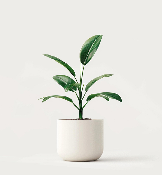 product-04